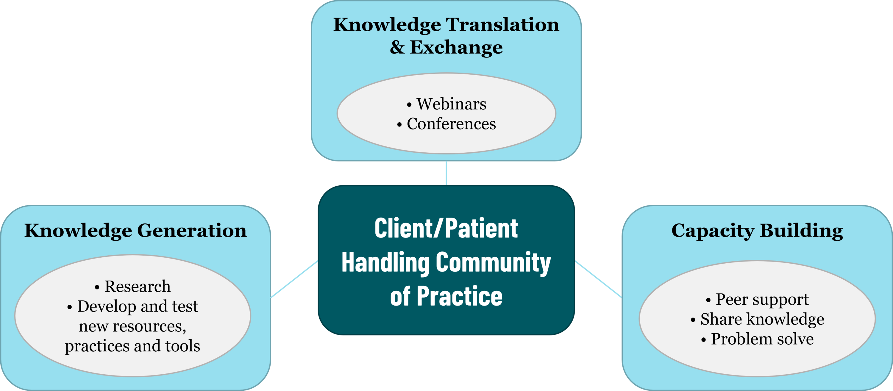A diagram showing what the CoP offers, including: knowledge generation (through research, developing adn testing new resources, practices, and tools); knowlege translation & exchange (thorugh webinars and conferences); and capacity building (thorugh peer support, knowledge sharing, and problem solving)