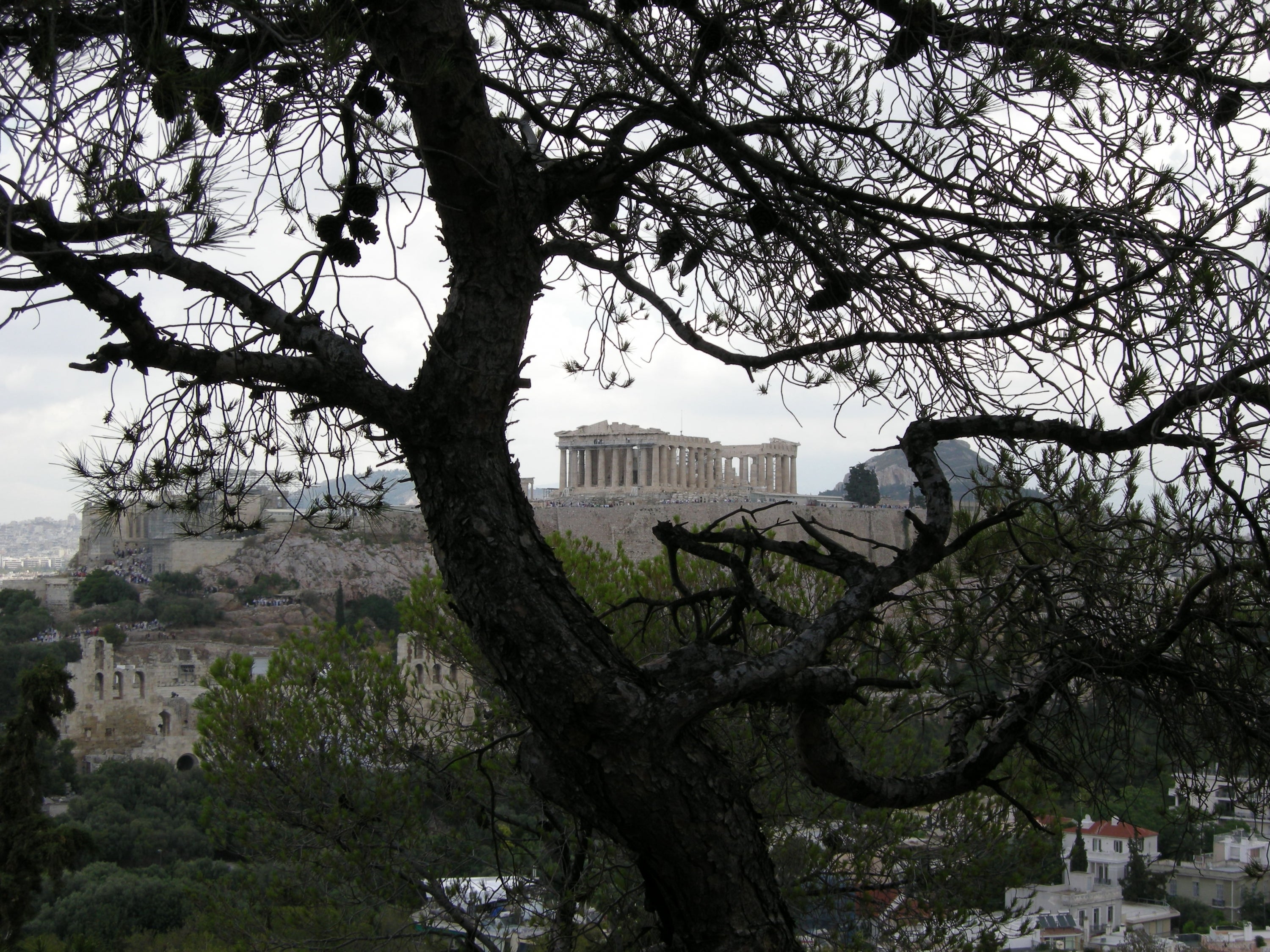 A view of the ruins of the Acropolis as seen from a distance behind a large tree. The photo is black and white, suggesting a mysterious or onimous mood.
