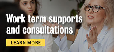 Work term supports and consultations