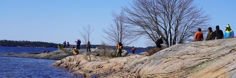 Earth and Environmental Sciences students exploring an outcrop by a lake.