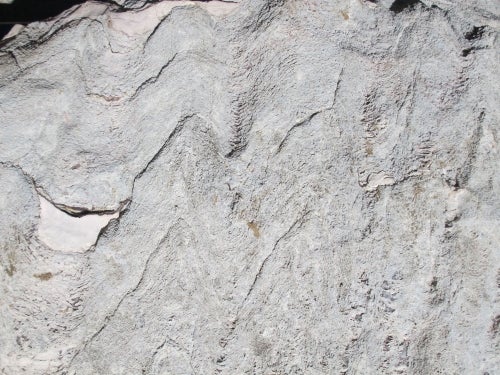 stromatolite boulder closeup depicting wavy layers visible in light grey rock