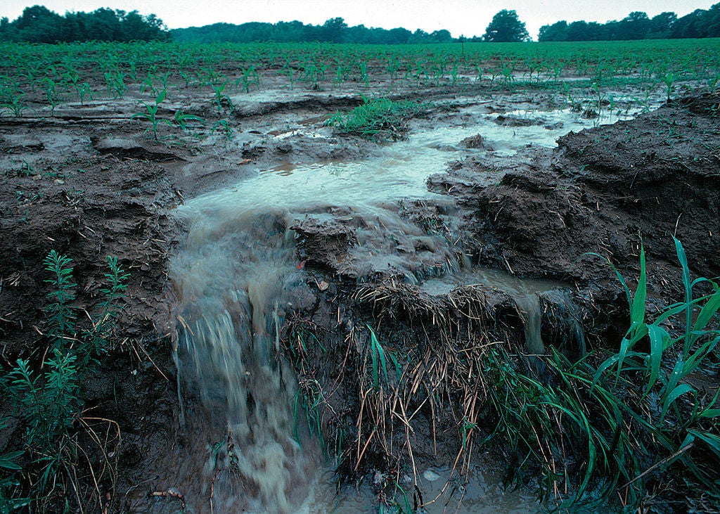 Runoff of soil fertilizer