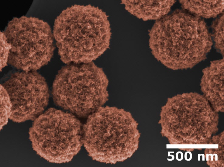 Colourized image of iron oxide nanoparticles that form the basis of the magnetic separation technology being investigated in Prof. Gu’s lab. Image credits: Stuart Linley, Canadian Centre for Electron Microscopy