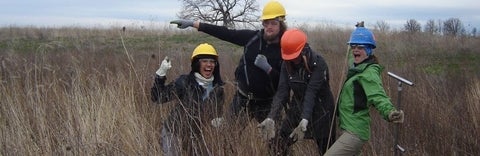 a group of 4 people wearing hardhats excitedly point in a field of dried grasses