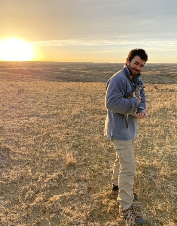 Man holding a sage grouse in arms standing on sage grass area at sunset.