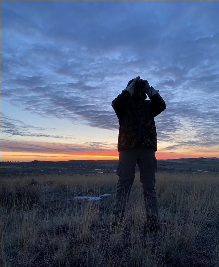 Person looking through binoculars in a sage grass area with sunset in the background.