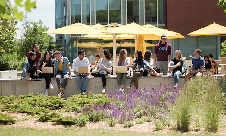 Bachelor of Arts degree students sitting under yellow umbrellas on a sunny day