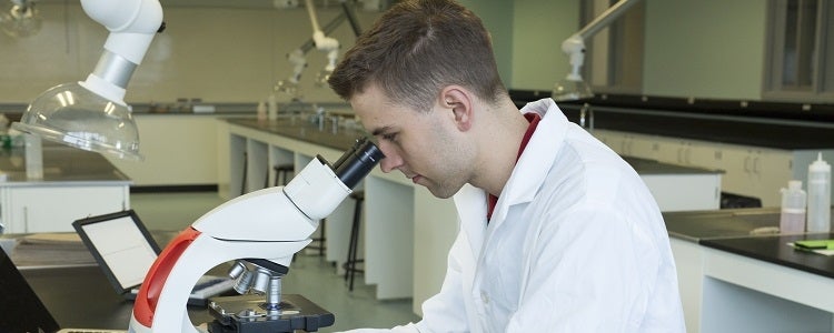 A student with a Life Sciences degree looks through a microscope.