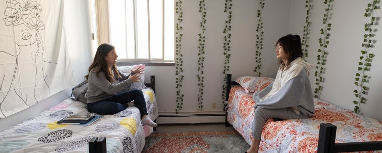 Two friends in a residence room that is decorated with vines
