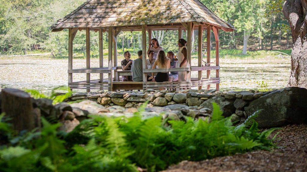 Kenny Hildebrand and a group of friends having a picnic in a gazebo beside a creek