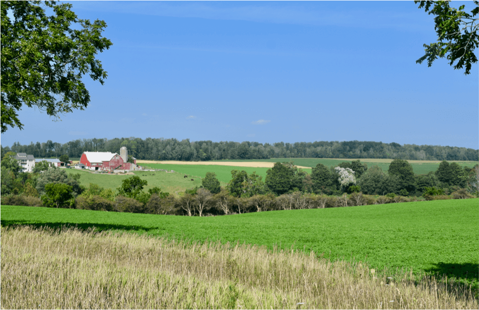 a green field with a farm house in the distance