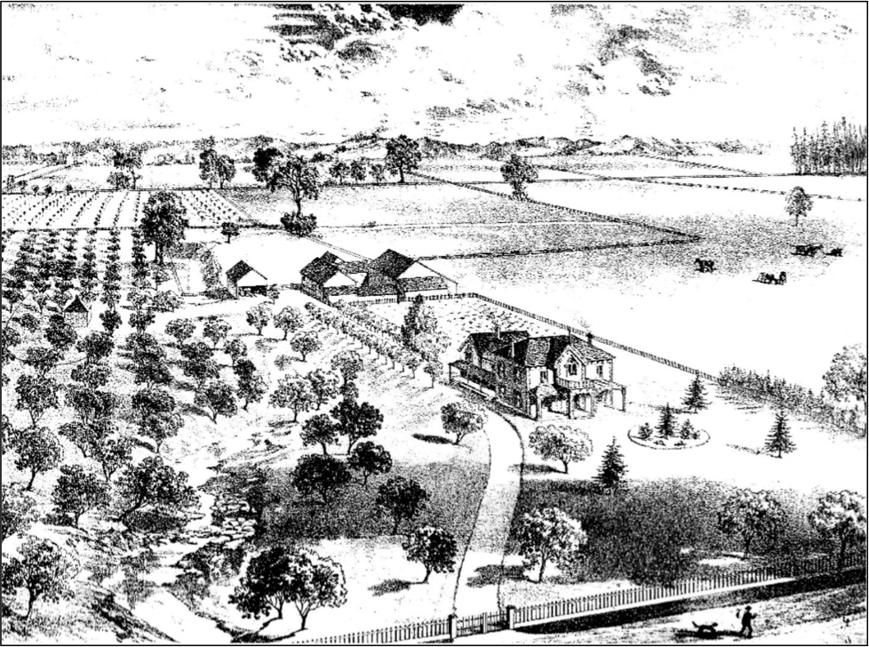 Illustration of a farm and property