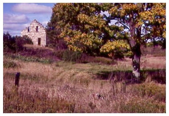 Neglected stone barn in background of field with tree