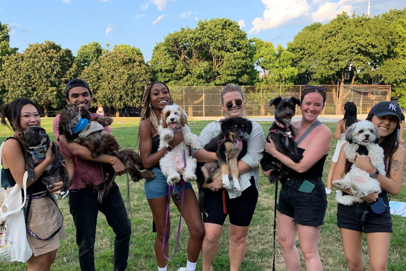 Group of Perpetua co-op students holding dogs outside