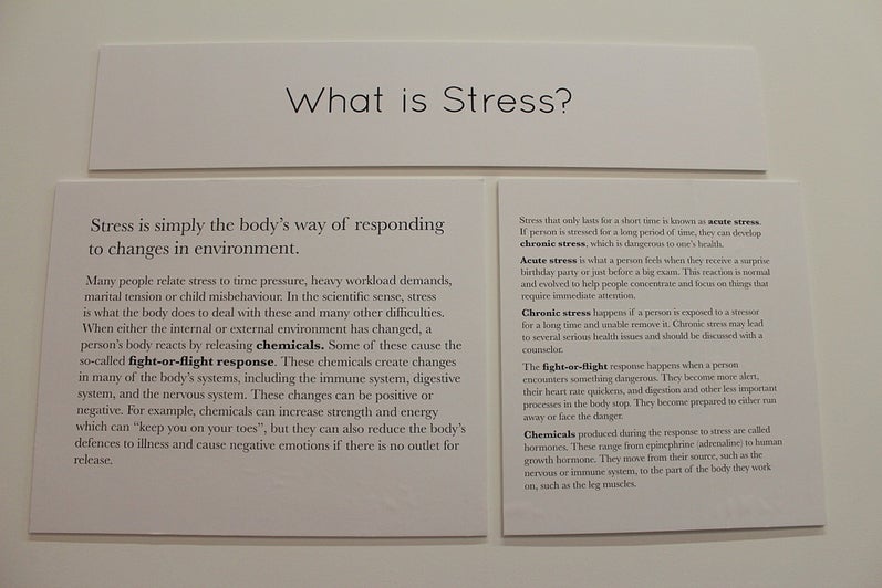 "What is Stress?" exhibit wall.