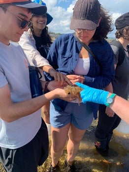 Lea and other students holding octopus eggs