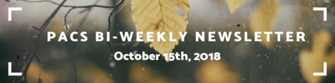 The text "MPACS Bi-Weekly Newsletter - October 15" written over an image of yellow leaves.