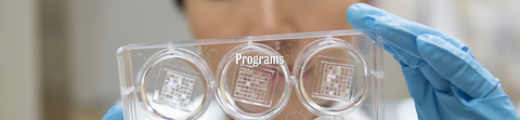 Banner for nanotechnology programs