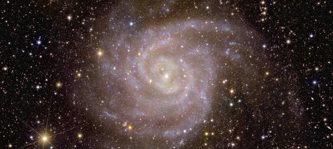 Euclid’s view of spiral galaxy IC 342