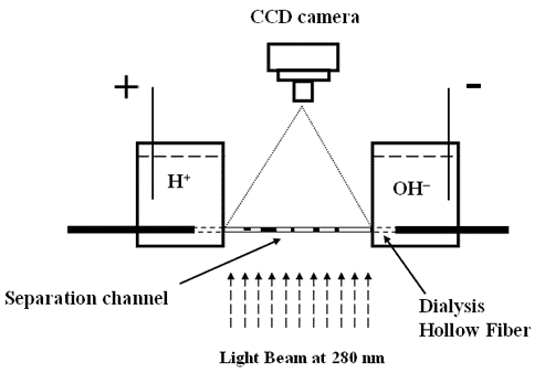 Whole Column Imaging Detection Apparatus