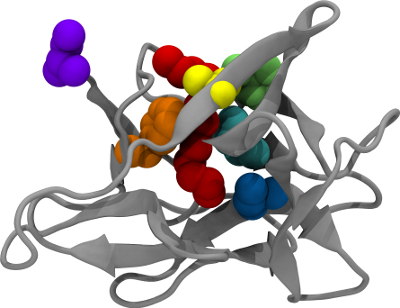 Hisactophilin: Model Beta-Trefoil Protein with Regulated pH-Dependent Function  