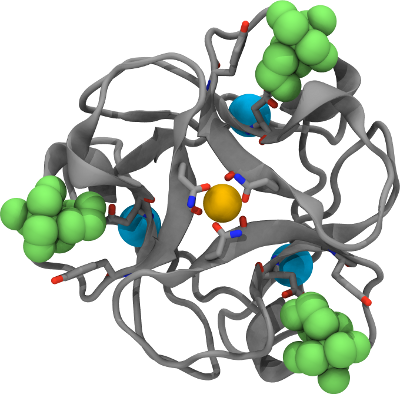 ThreeFoil: Folding and Function of a Rationally Designed Symmetric, Carbohydrate-Binding Beta-Trefoil 