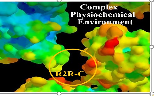 Complex physiochemical environment depicted with blue, green, red, and yellow graphics