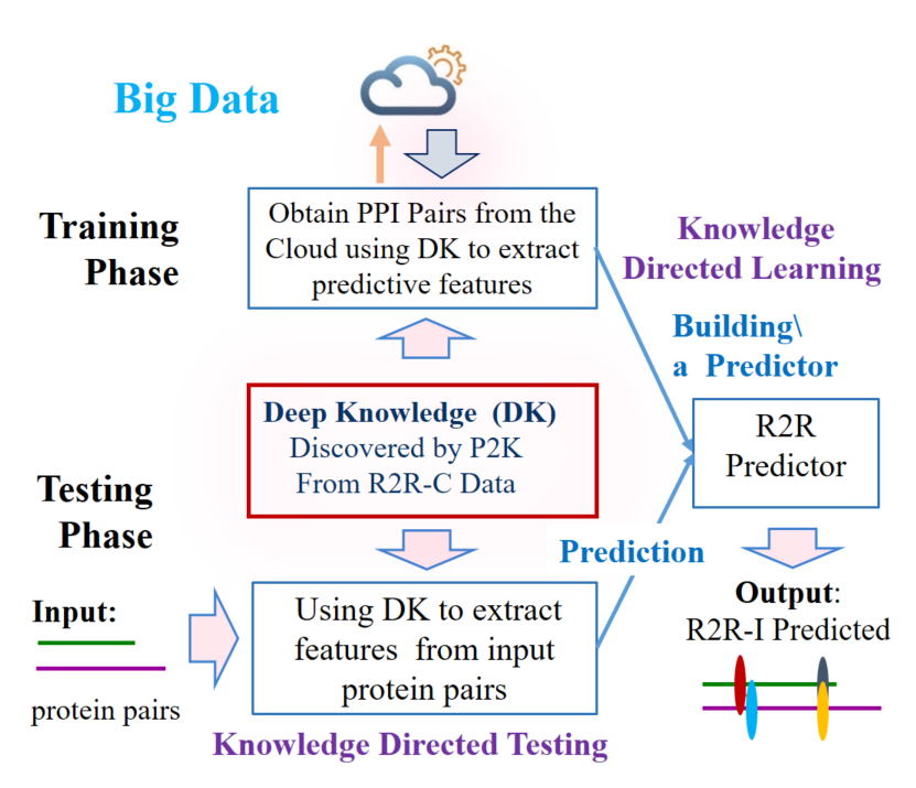Chart demonstrating flow between testing and training phases for knowledge directed learning
