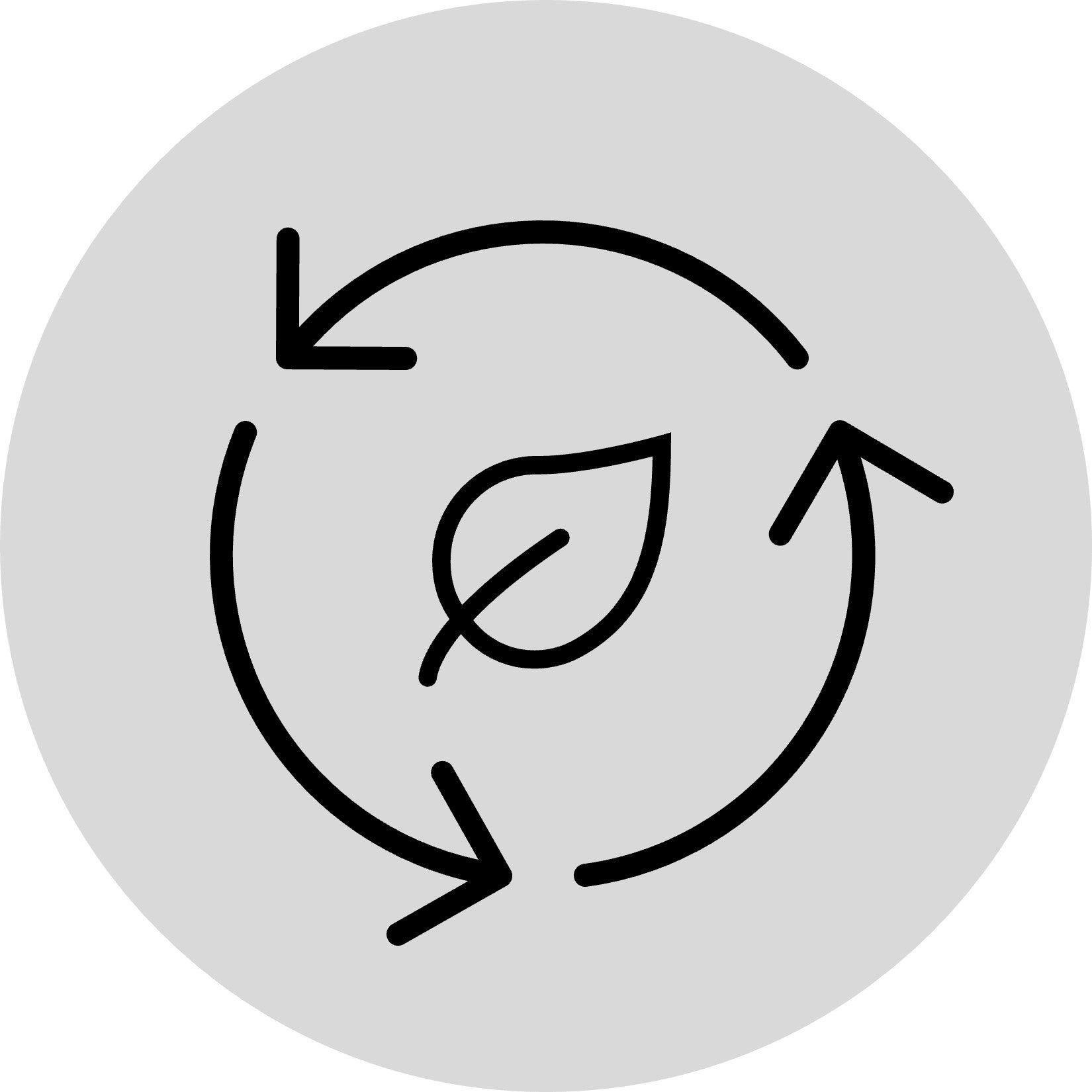 Cycle with leaf in middle line icon