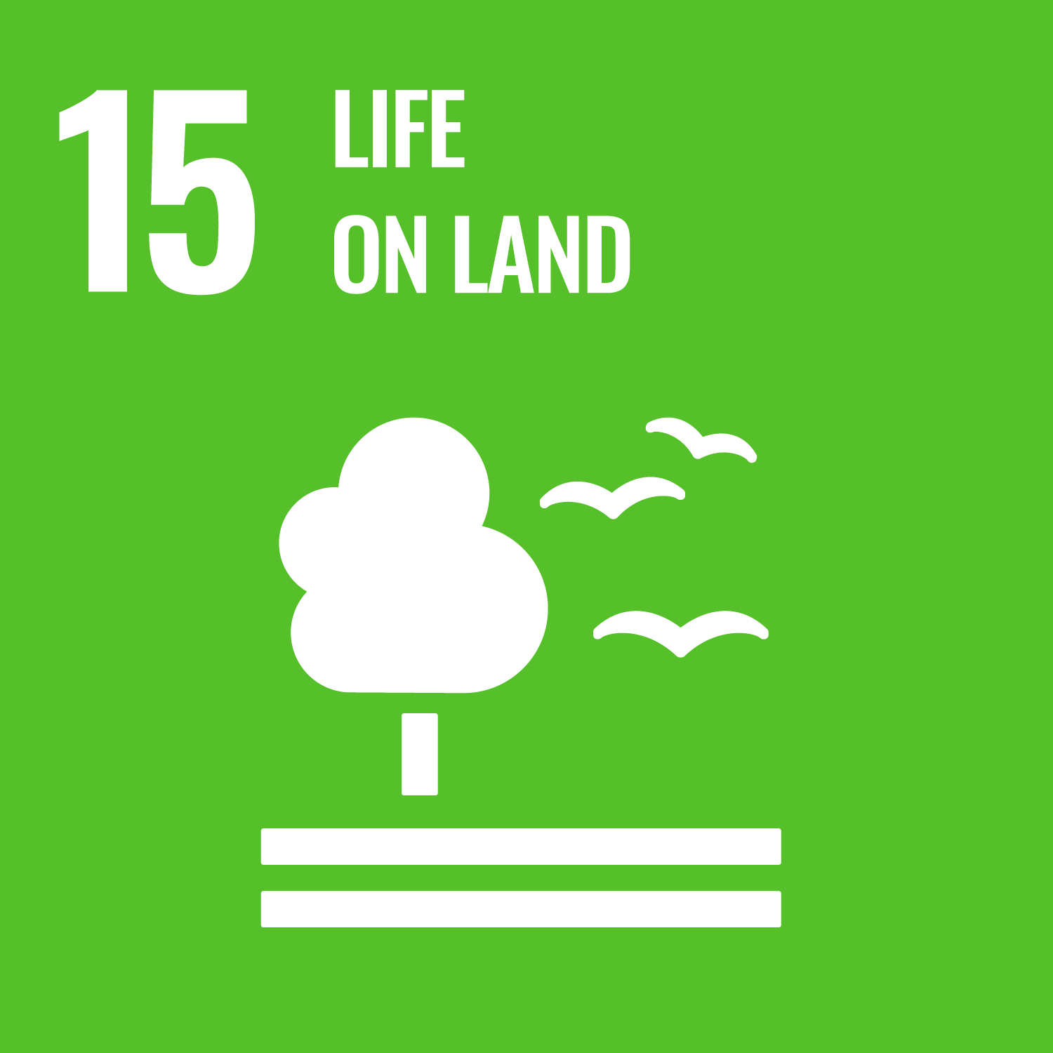 SDG 15 - Life on Land square icon
