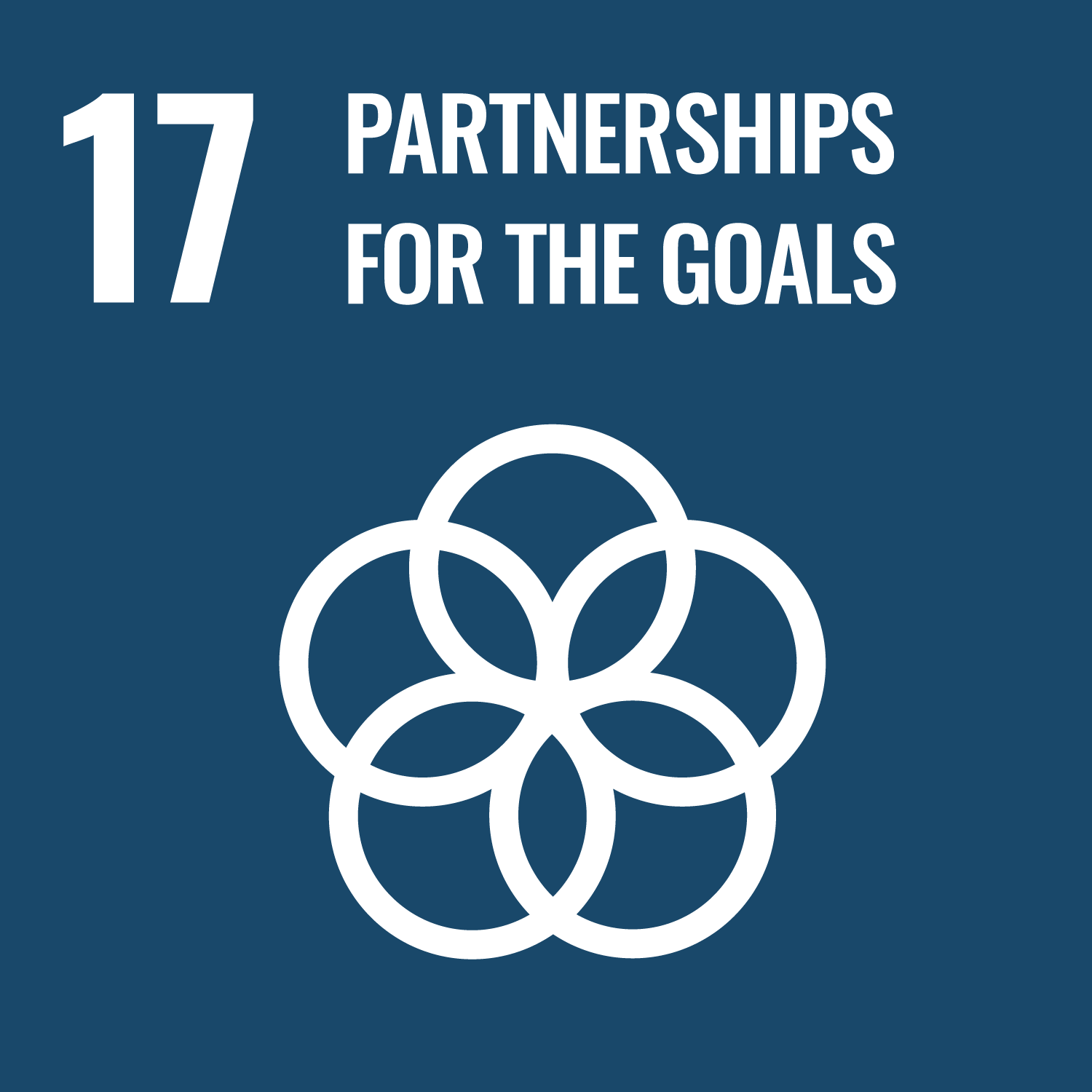 SDG 17 - Partnerships for the Goals square icon