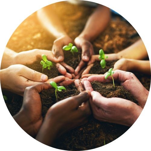Group of people holding hands in a circle with dirt and seedlings