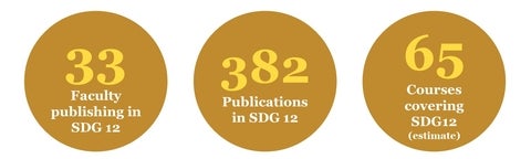33 faculty, 382 publications, 65 courses related to sdg 12
