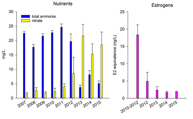 Changes in ammonia/nitrate and total estrogenicity in the Kitchener Wastewater Treatment Plant effluents.changes in amonia in wastewater treatment plants in kitchener waterloo