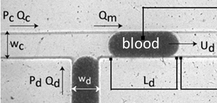 Bio-microfluidics