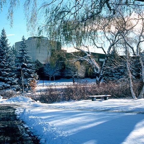 waterloo campus in winter with snow