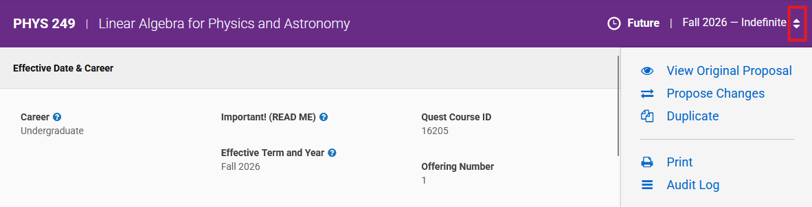 Screenshot highlighting the arrow pair for toggling between versions of a record.
