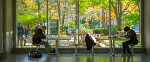 Three students sitting at tables studying in front of tall windows