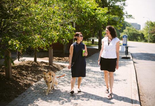 Woman with guard dog walking and talking to another woman