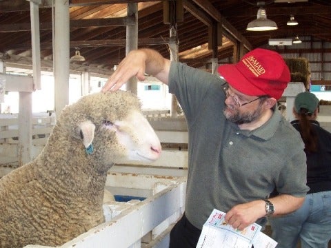 David Yevick with a sheep