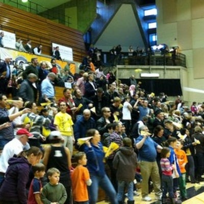 Crowd at the Warriors basketball game