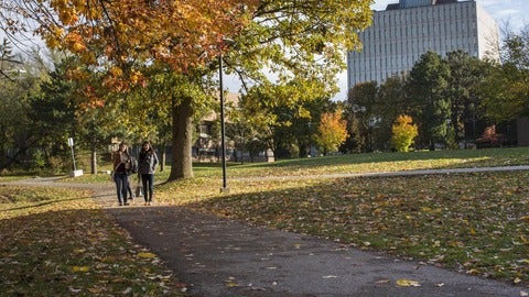 Students walking in front of the library