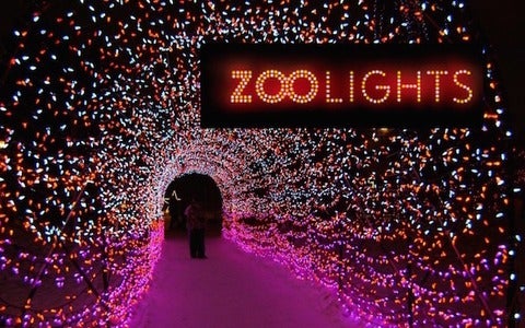 Zoo Lights