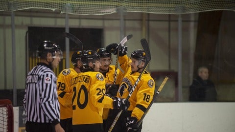 Waterloo Men's Ice Hockey Players