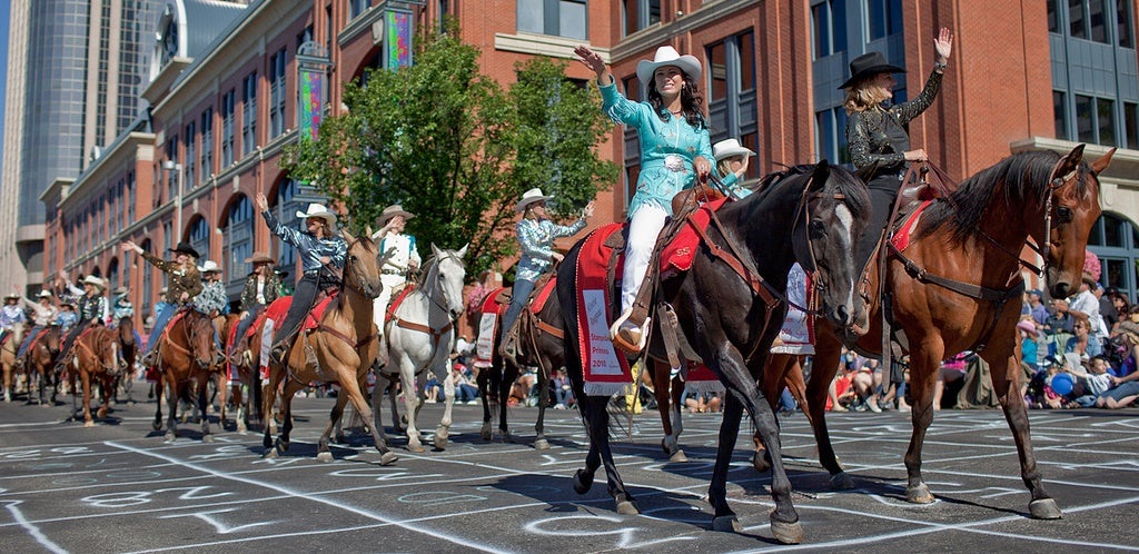 parade, horses, riders, waving