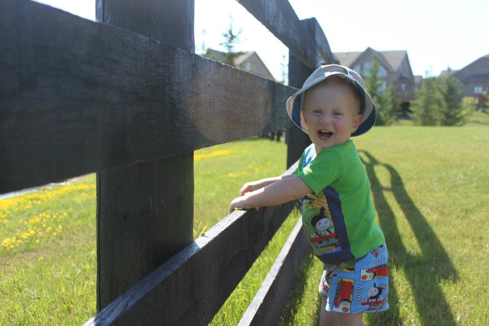 baby at a fence