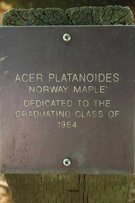 Class of 1964 plaque