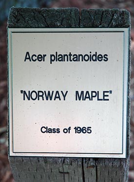 Class of 1965 plaque