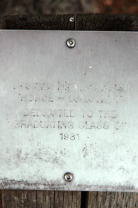 Class of 1981 plaque