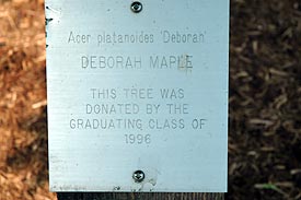 Class of 1996 plaque